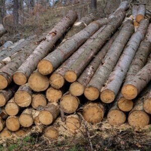 60 m³ di cassone certificato PEFC per camion