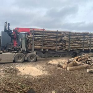 Camion carico di 60 metri cubi di tronchi di faggio, quercia e carpino