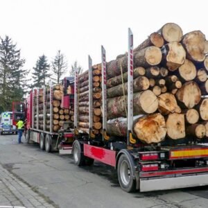 Tronchi di castagno – carico di camion da 50 metri cubi