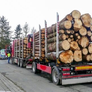 CHÂTAIGNIER EN GRUME, CAMION DE 50 STÈRES