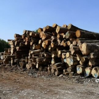 Camion de 20 stères, Hêtre Chêne Charme en grume