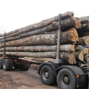 Camion carico di 30 metri cubi di tronchi di faggio, quercia e carpino