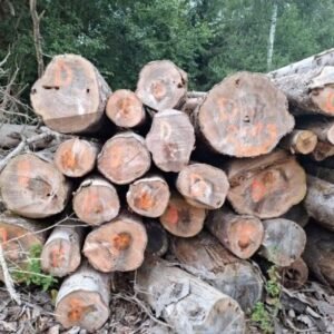 Legna da ardere – Abete