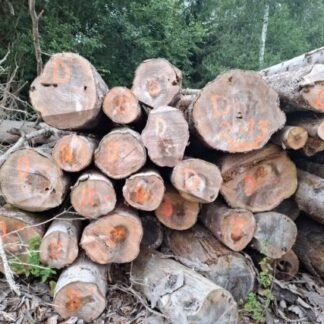 Bois de chauffage – sapin