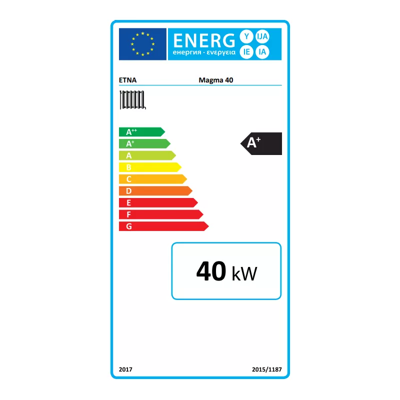 Caldaia a legna MAGMA da 40 kW – foto 3