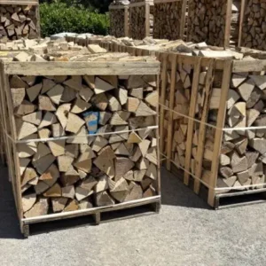 Legna da ardere di faggio essiccata in forno su pallet, ciocchi da 25 cm – 1 m³