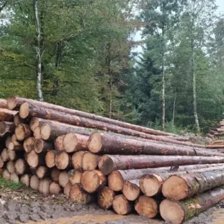 Bois de grume – Épicéa