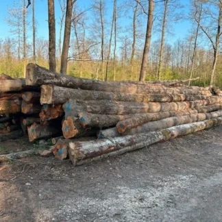 Mélange de bois de grume et de bois dur